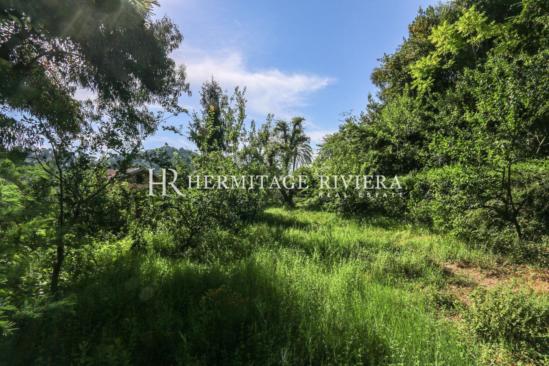 Havre de paix de quatre hectares - Vue montagnes (image 12)
