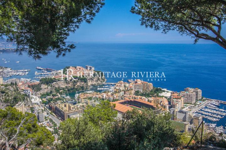 Vue panoramique sur Monaco et Cap Ferrat (image 3)