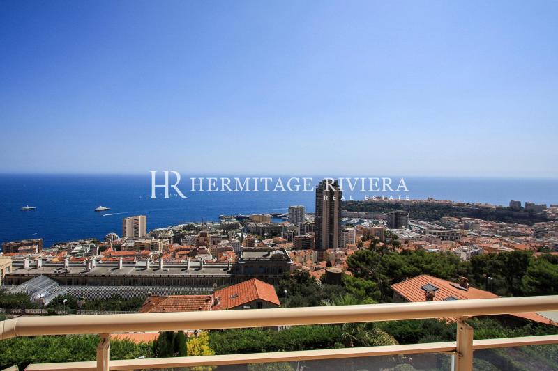Appartement avec vue sur Monaco
