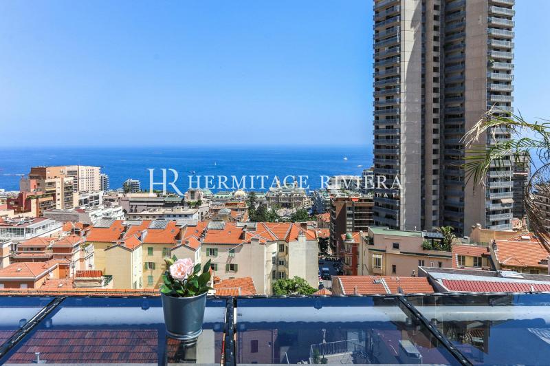 Penthouse-duplex rénové avec vue sur Monaco