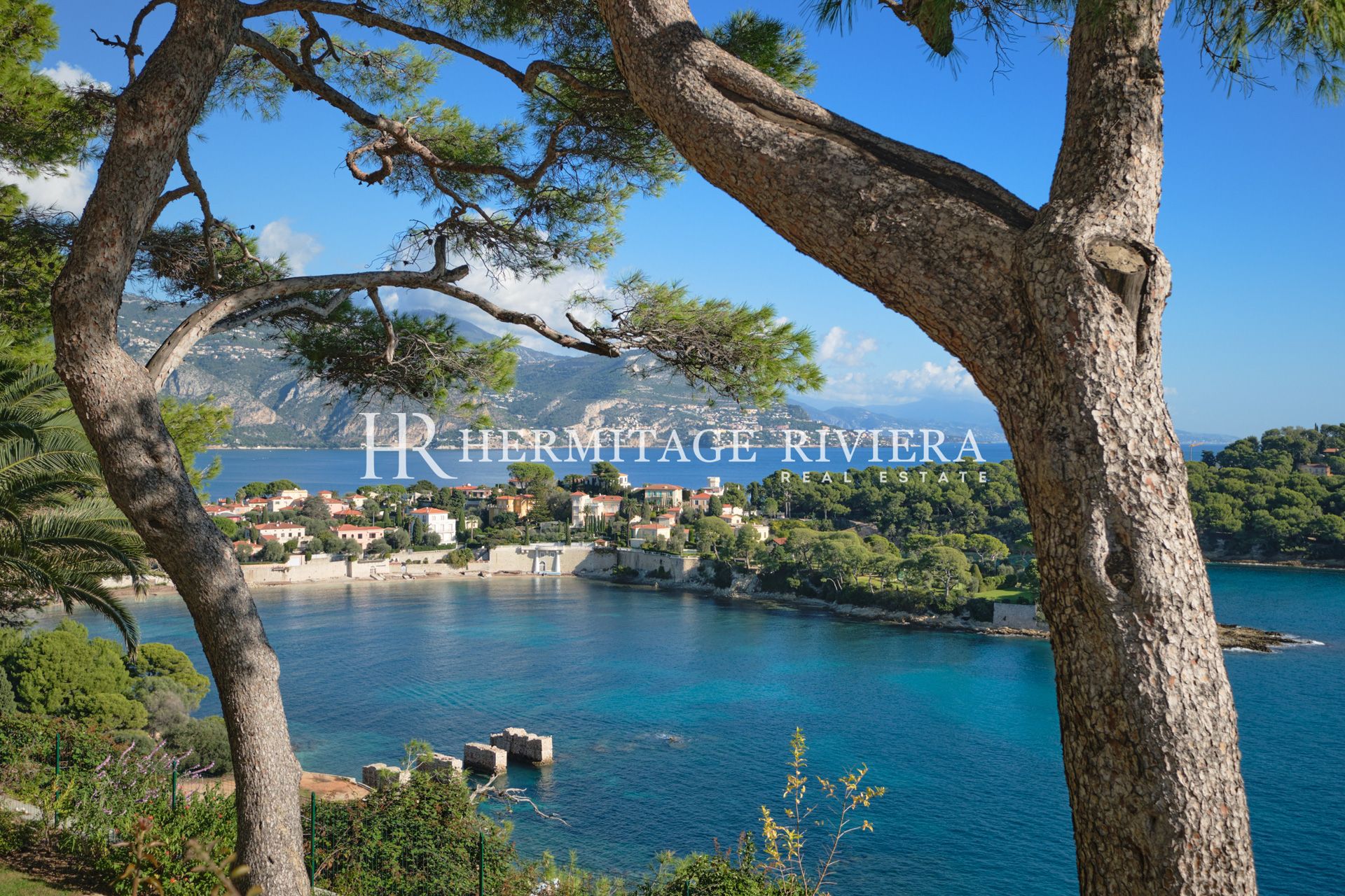 Magnifique propriété en front de mer - Vue mer - Piscine - Maison d'invités (image 8)
