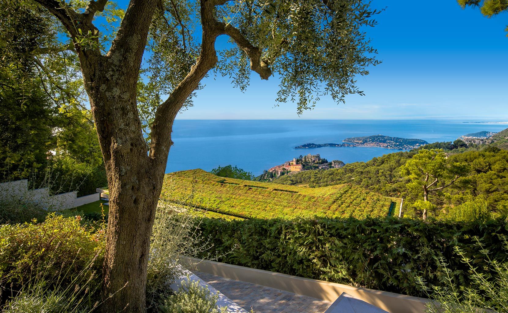 Eze (image 8)