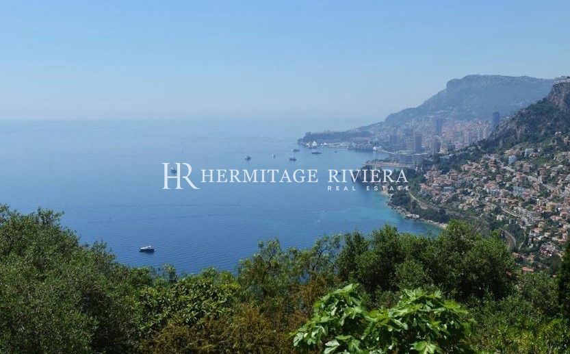 Villa dans domaine fermé - piscine à débordement - Vue Monaco (image 2)