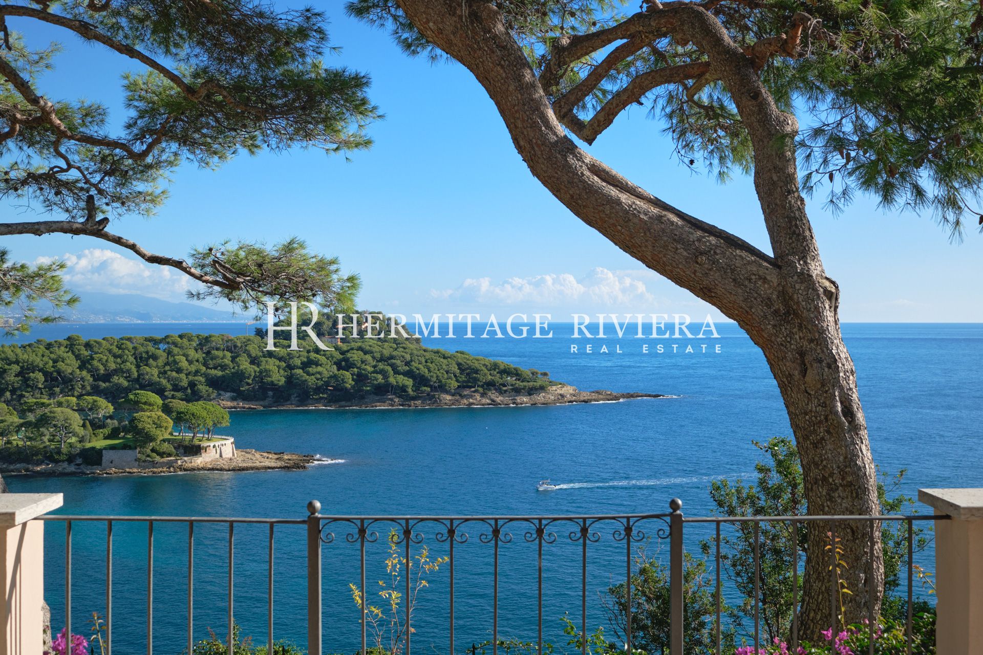 Magnifique propriété en front de mer - Vue mer - Piscine - Maison d'invités (image 5)