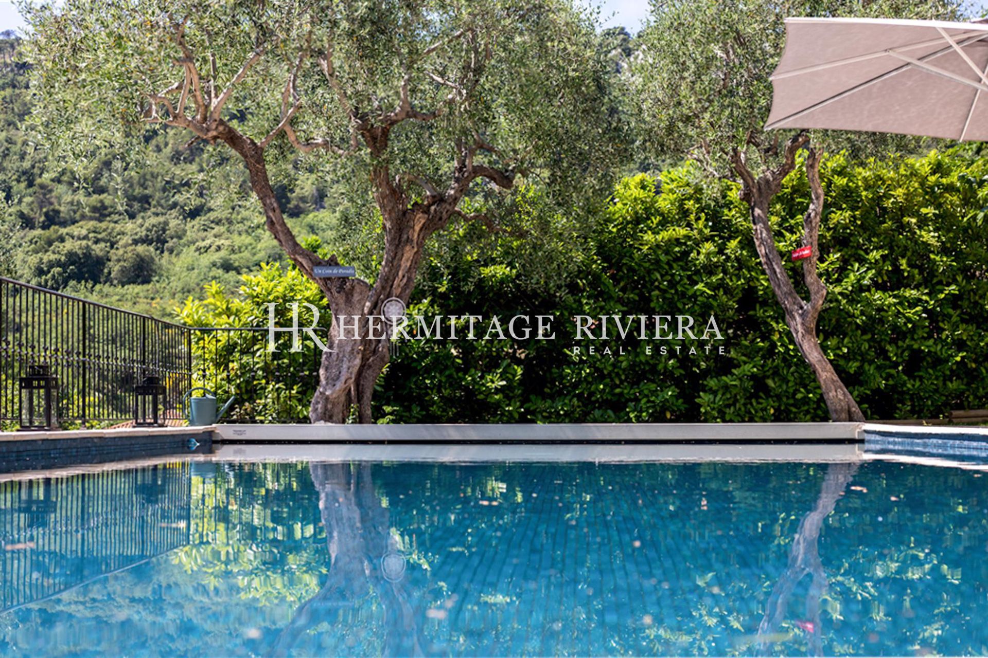 Charmante villa - Près d'Eze village - Pool (image 31)