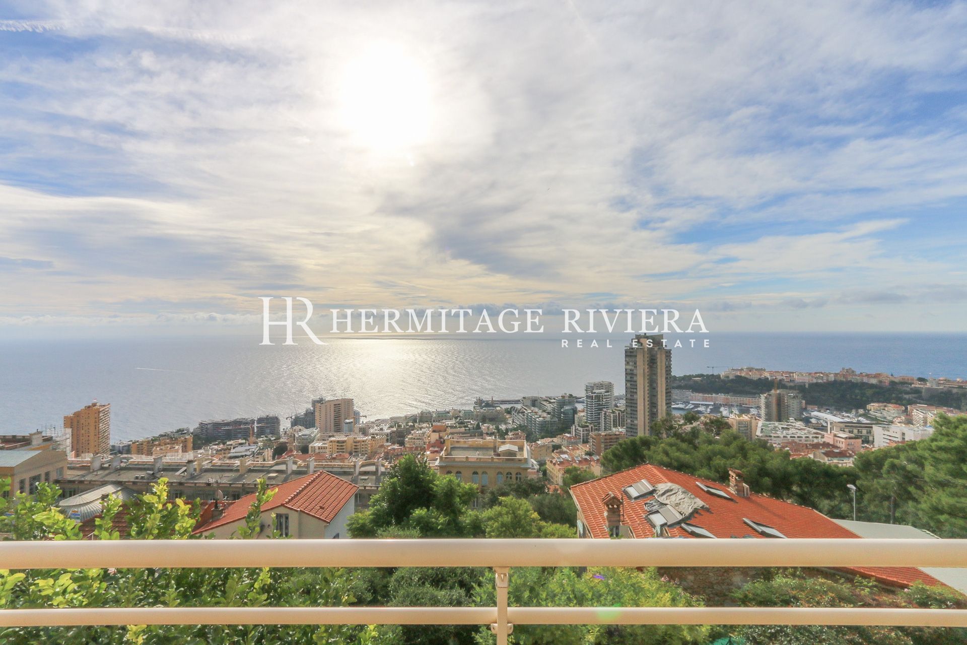 Appartement-duplex vue Monaco (image 4)