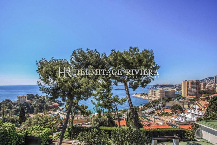 Villa contemporaine avec vue sur Monte-Carlo Beach (image 18)