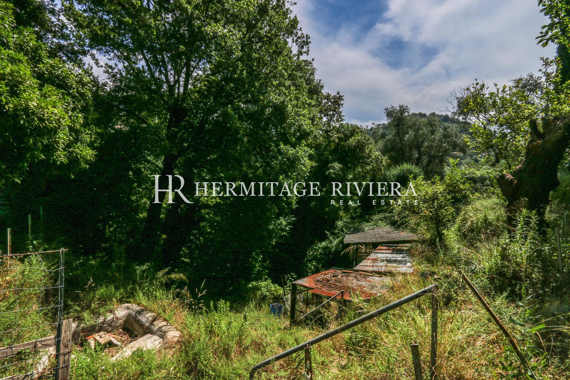 Havre de paix de quatre hectares - Vue montagnes (image 18)