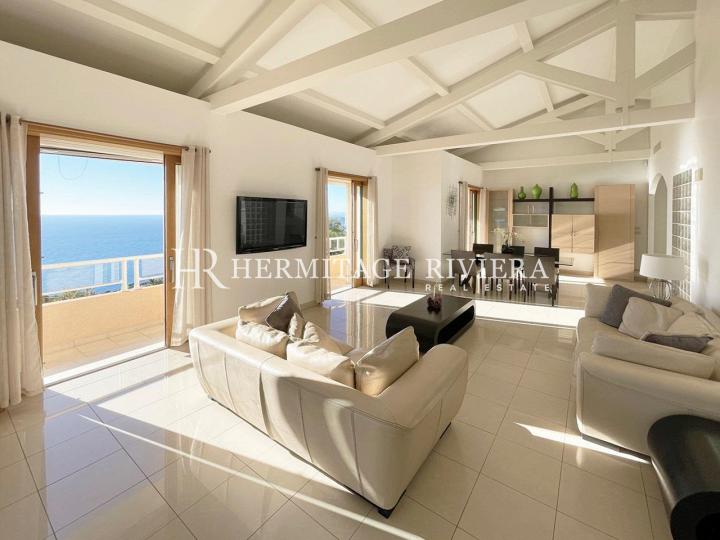 Villa contemporaine avec vue mer (image 4)