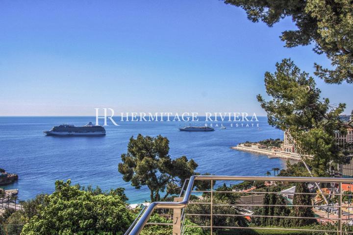 Villa contemporaine avec vue sur Monte-Carlo Beach (image 17)