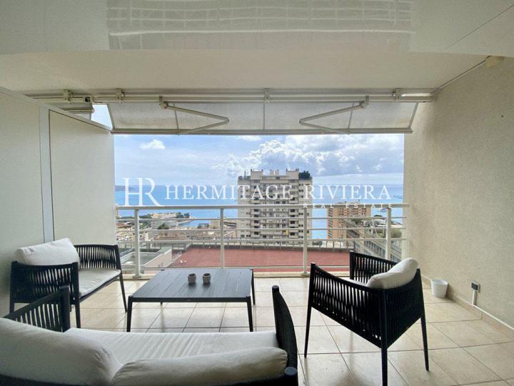 Charmant appartement avec vue Monaco (image 1)
