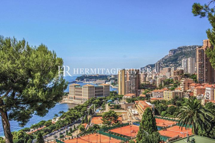 Villa contemporaine avec vue sur Monte-Carlo Beach (image 12)