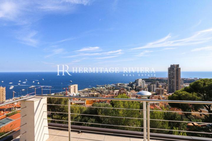 Villa contemporaine neuve vue panoramique Monaco (image 19)