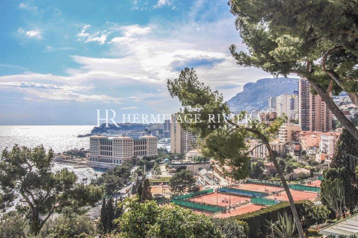 Villa contemporaine avec vue sur Monte-Carlo Beach (image 3)
