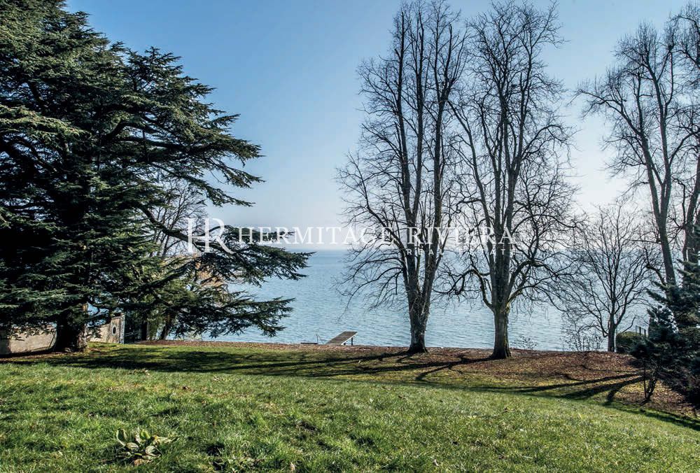 Nouvelle Demeure front du lac - Plage privée (image 14)