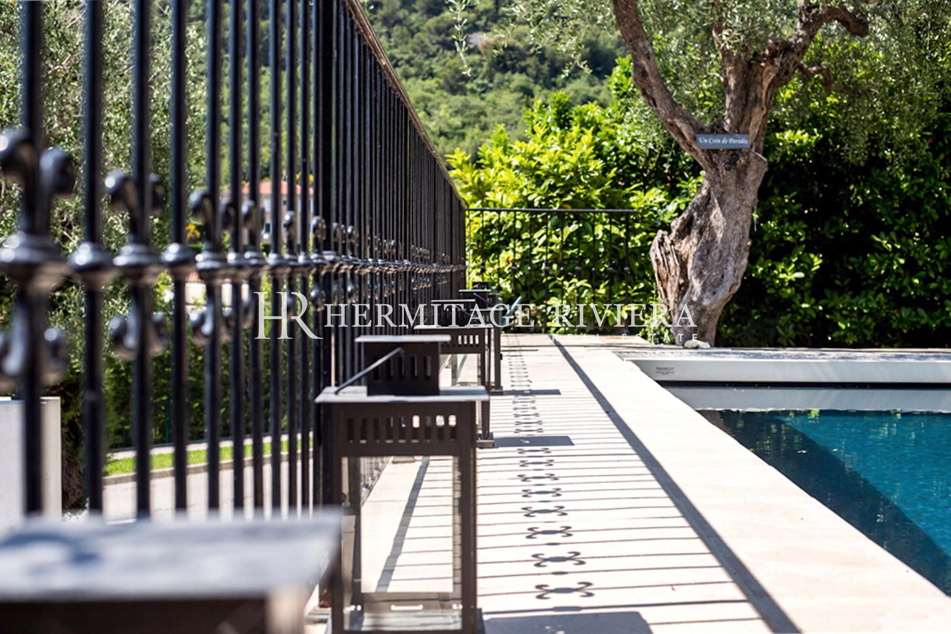 Charmante villa - Près d'Eze village - Pool (image 28)