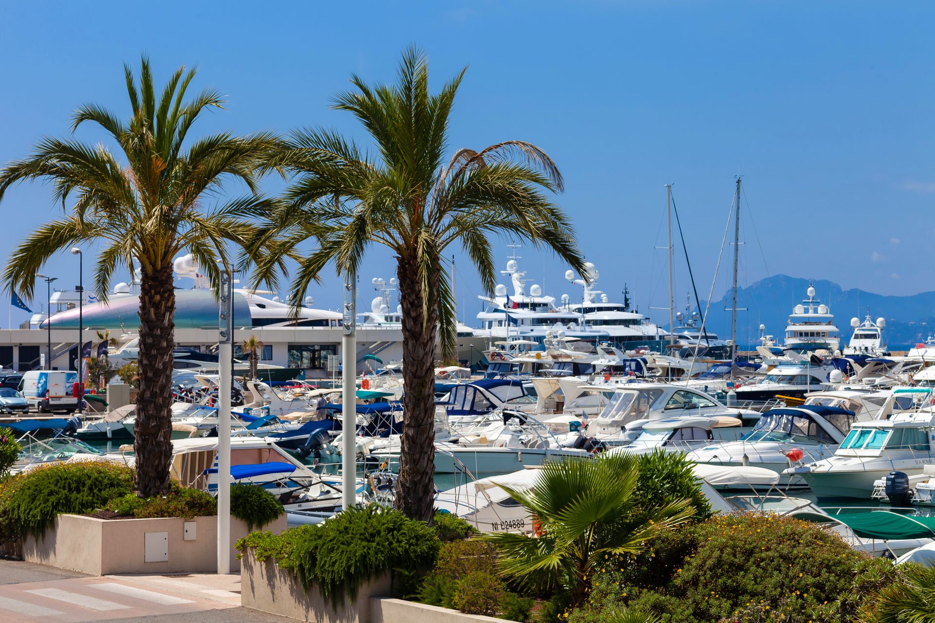 Cannes (image 1)