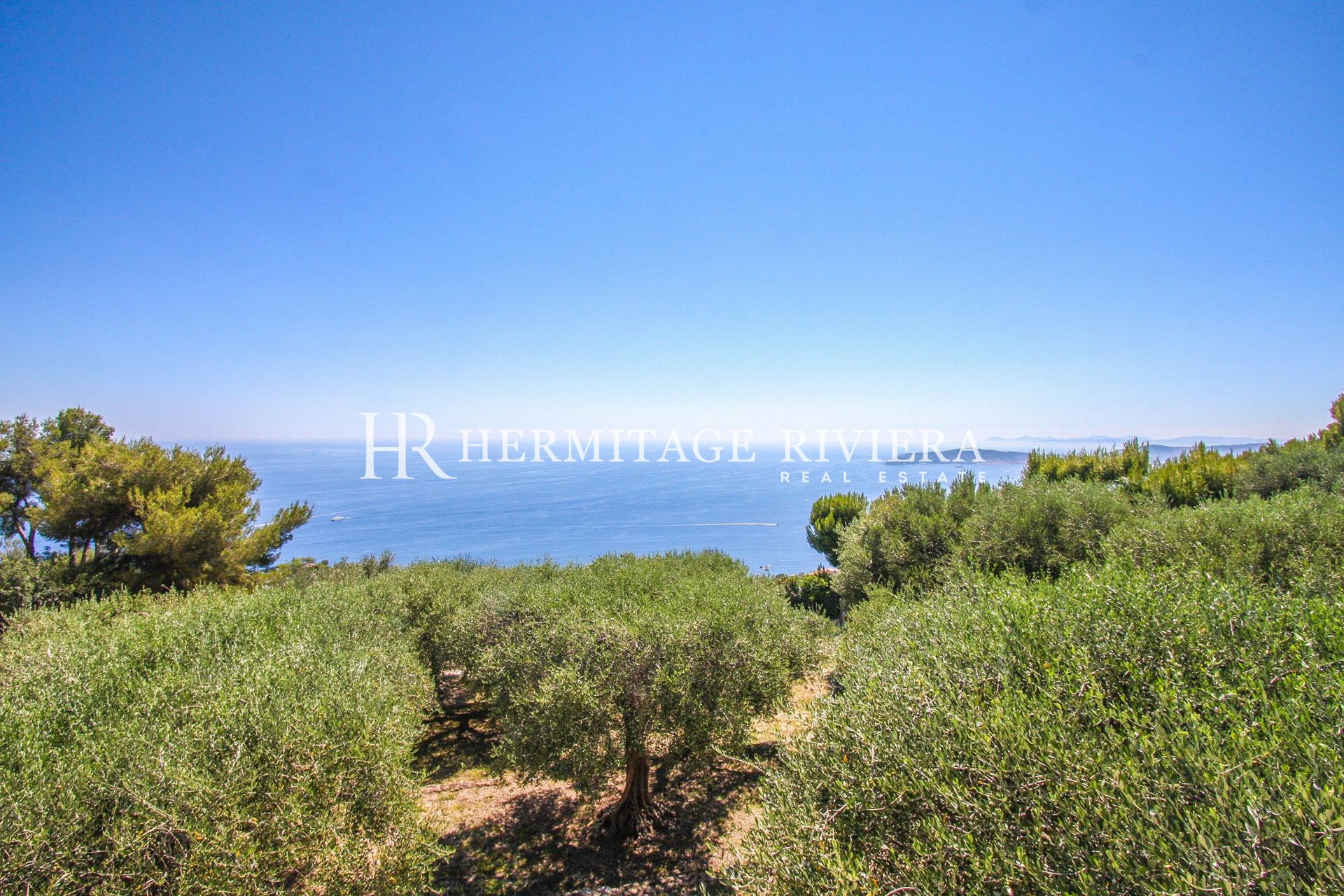 Propriété avec vue Monaco - Vue mer - Piscine - Jardin plat (image 4)